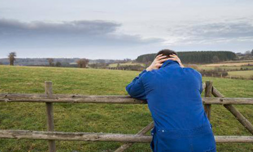 Justice injuste, non à la bêtise humaine !