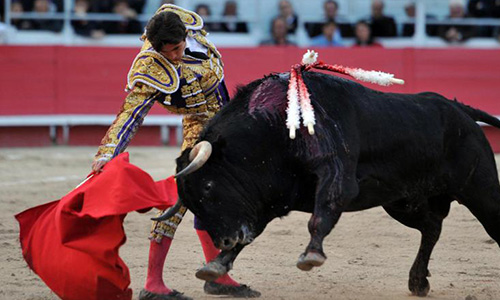 Contre les corridas à Istres !