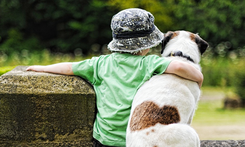 Pour une sensibilisation des enfants à la cause animale dans les écoles