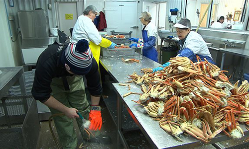 Non aux distributeurs de viande en France et de crabes vivants en Chine !