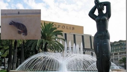 Non à la disparition des fontaines à Nice !