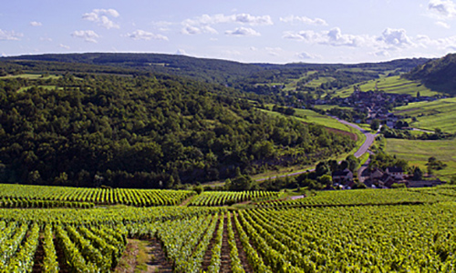 Contre le retrait de Saint Aubin sur Gaillon de la CCEMS