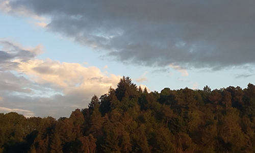 Ne touchez pas au ciel de Gimel