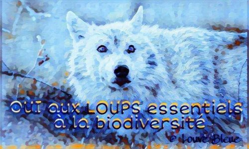 Démission du Ministre de l'écologie