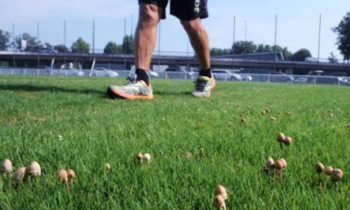 Pour que Toulouse Métropole respecte le TFC !