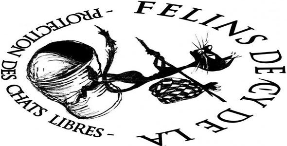 Urgent : il faut stériliser les chats errants à Foug (54)