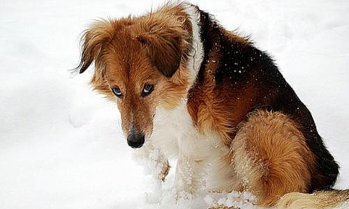 Pour un monde meilleur !