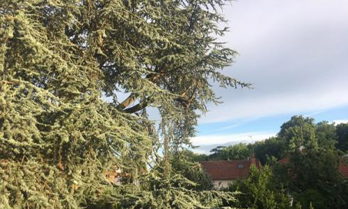 Pour la conservation de l'authenticité de Verrières