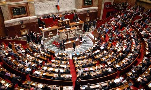 Un Ministère pour le Droit des Animaux