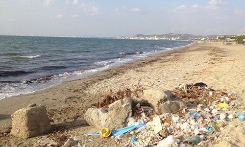 Pour le nettoyage d'une plage/espace canin à la Ciotat!