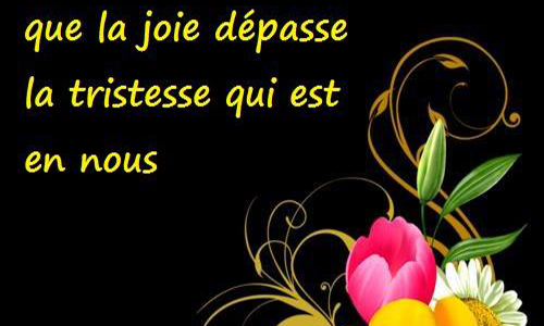 L'allocation adulte handicapé (AAH) ne doit pas être comptée sur le revenus des conjoints !