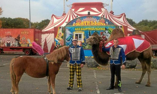 Pour l'interdiction et départ du cirque Fratellini à Tourlaville