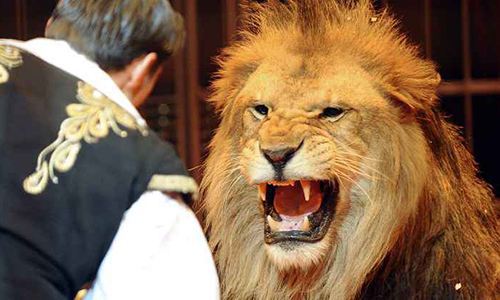 Non aux cirques utilisant des animaux