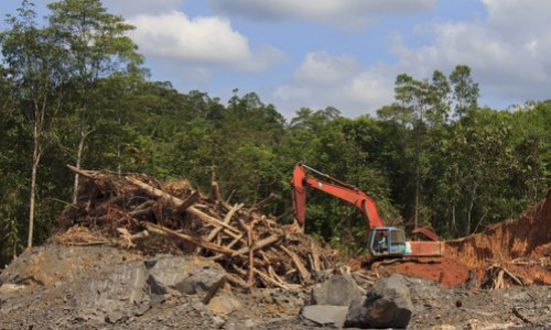 Refusons les ravages de l'huile de palme