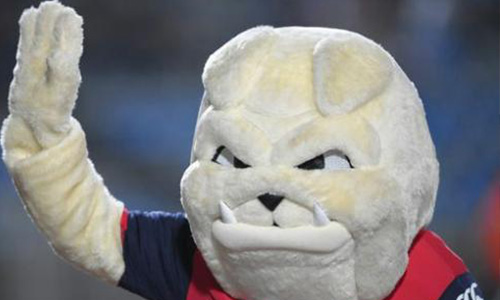 Pour le retour de Doggy Dog au stade du Losc !