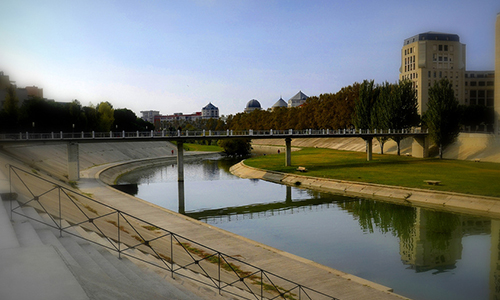 Stop aux déjections canines à Port Marianne