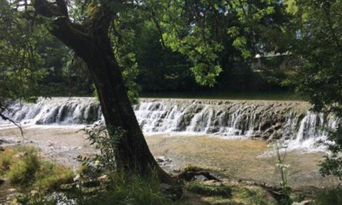 Quel devenir pour la Platière ?