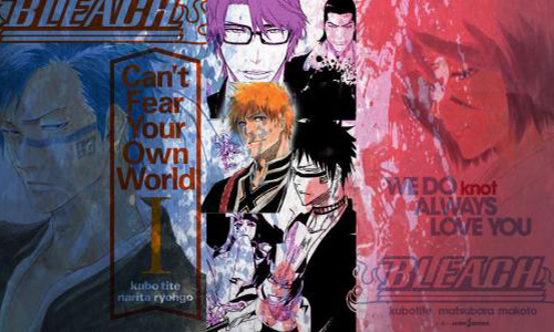 Bleach : Pour que les deux derniers romans soient édités en France !