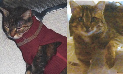 Justice pour Keira et Lisie, torturées à mort