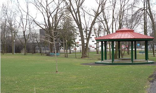 Autorisez nos chiens à se  promener avec nous dans le parc Noël-sud à ville Saint-Laurent