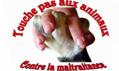 Contre la cruauté envers les animaux