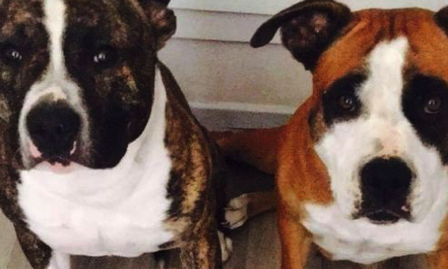 Jackpot et June plus jamais