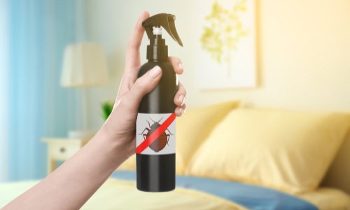 Pour une aide de l'État pour traiter les logements contre les punaises de lit