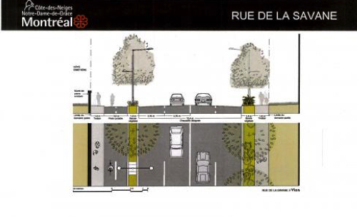 Modification de projet du triangle en ce qui concerne la réduction des espaces de stationnment dans la rue de la savane
