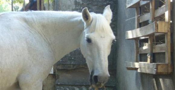 Une justice pour Vita