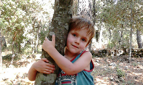 Protégeons notre forêt de la Sine !