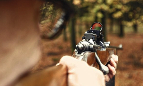 Faire voter une loi réglementant l'alcool et la chasse