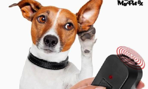 STOP à l'utilisation des ultrasons pour éloigner les animaux