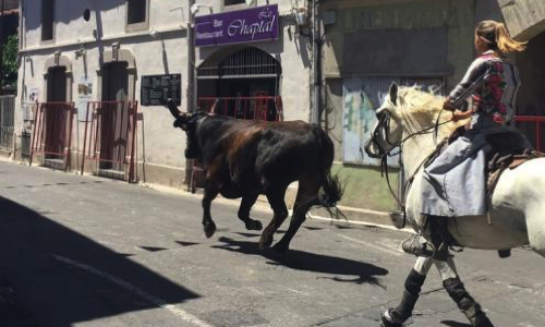 Non à la démolition du coeur de notre village de Vendargues