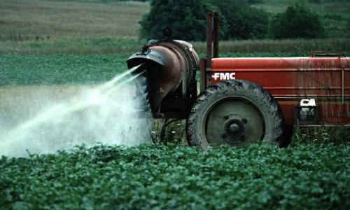 Une ceinture Maraîchère dans l'agglo de Limoges oui mais en bio