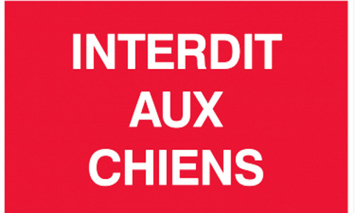 Pour un salon autorisé aux animaux de compagnie