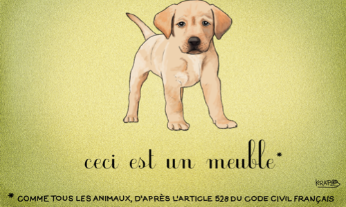 Pour que les animaux obtiennent une réelle existence dans le code civil !