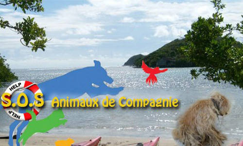 STOP aux trafics et à la maltraitance sur les animaux de compagnie en Martinique