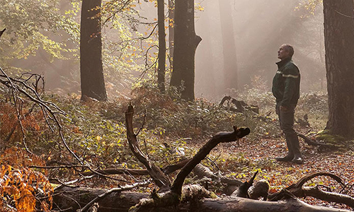 Pour le maintien de la chasse en France et la création d'un secrétariat d'état dédié à la gestion des territoires et la gestion de l'espace cynégétique.