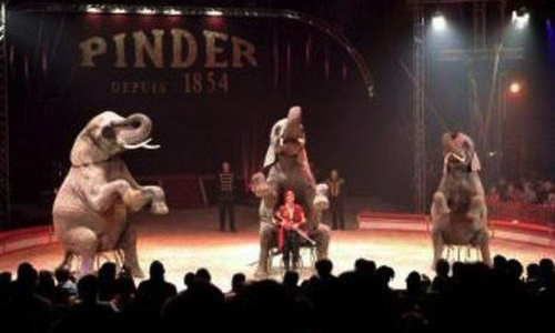 Vive les cirques sans animaux à Chartres