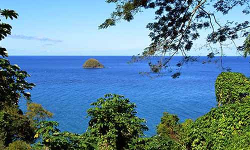 CONTRE LE LICENCIEMENT INJUSTE DE RONALD BRITHMER ET POUR UN MANAGEMENT CONVENABLE AU PRNM !   