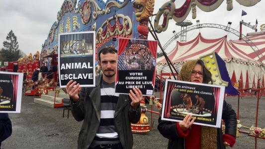 Avalanche de courrier pour réveiller Nicolas Hulot #LibertePourMaya