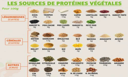 Pour une option de menus végétaliens dans les cantines des Ecoles et des établissements publics français