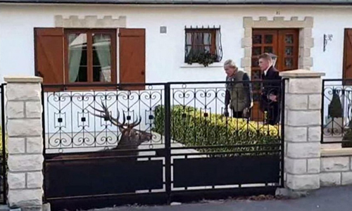 Pour que Monsieur Alain Drach, chasseur verse un don à la SPA