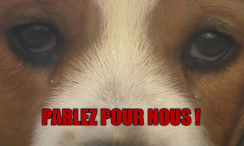 Prêtez-leur votre voix ! parlez haut et fort !