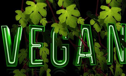 En finir avec la folie Vegan