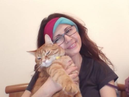 contre l'abattage des chiens en tunisie