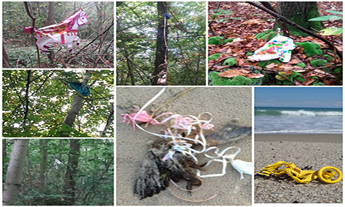Interdiction des ballons à l’hélium et des lâchers de ballons.