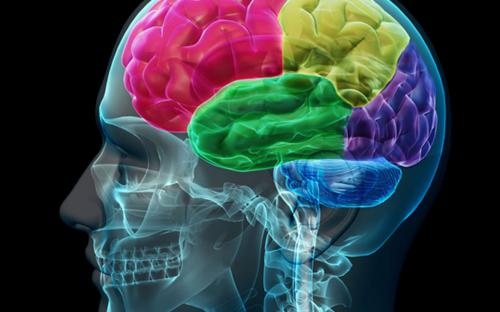 Demande d'annulation du partiel du TD de neuropsychologie