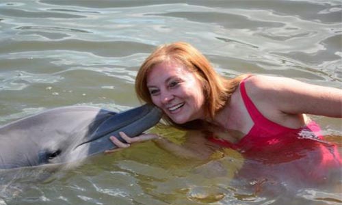 NON au projet ODIEUX de delphinothérapie au Québec