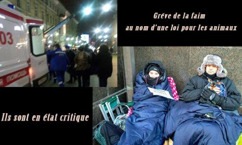 Pour l'adoption de la loi pour un meilleur traitement des animaux en Russie